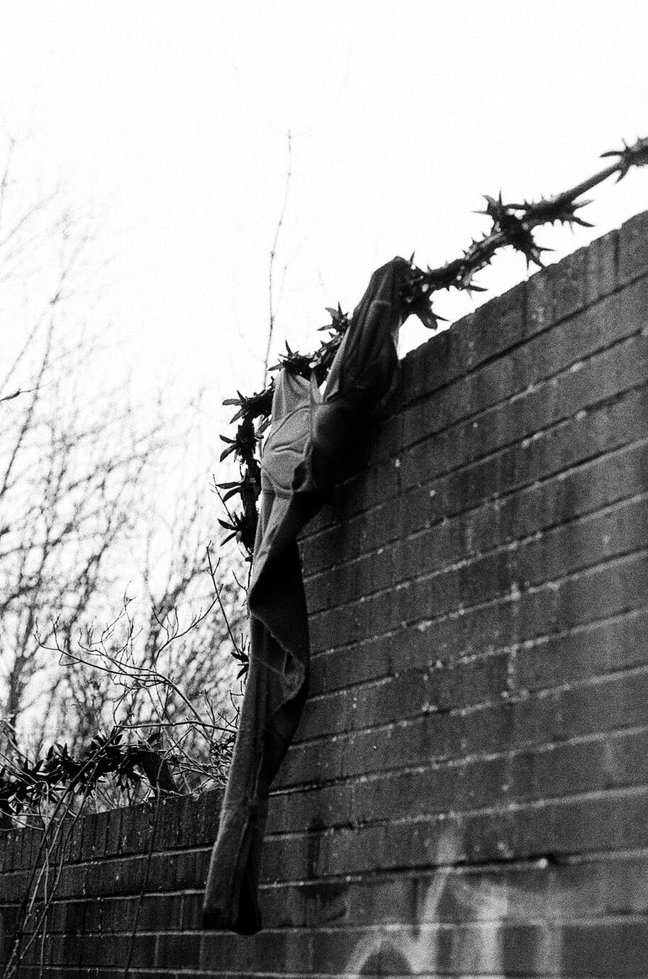 Spikes - Kentmere 400, f2.8 1/125